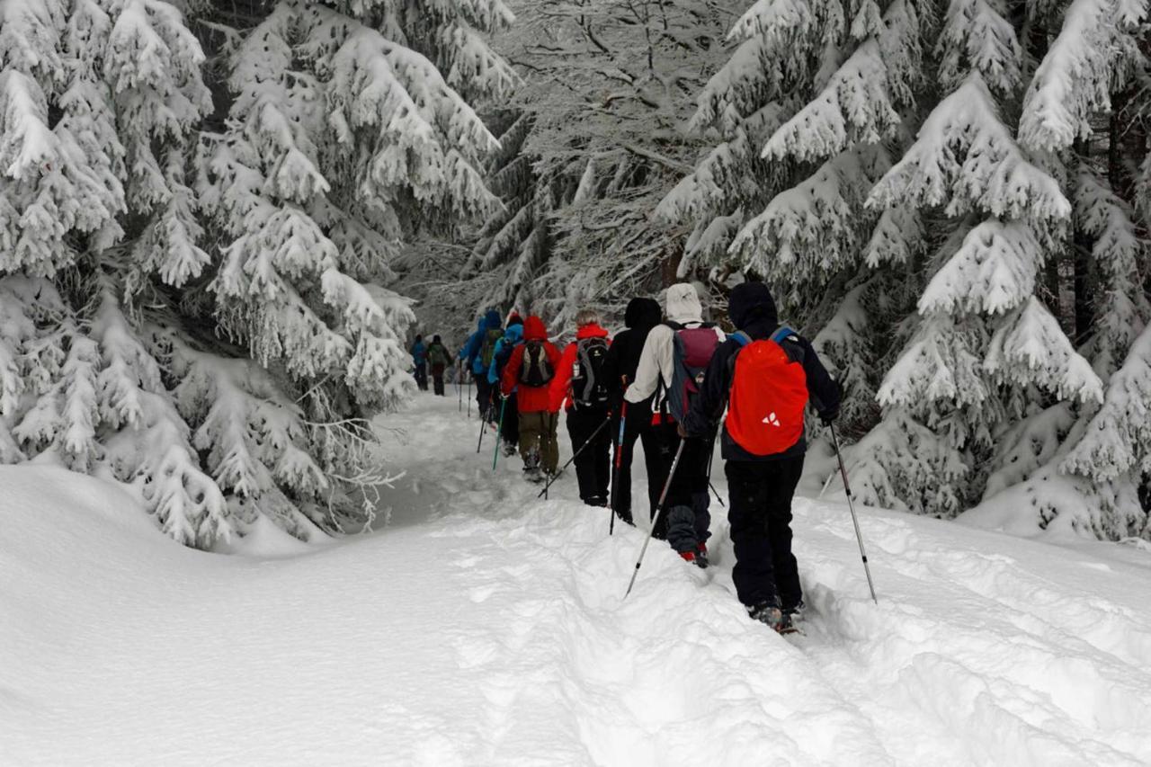 Ferienwohnung Im Landhaus Am Nationalpark Ludwigsthal Bagian luar foto