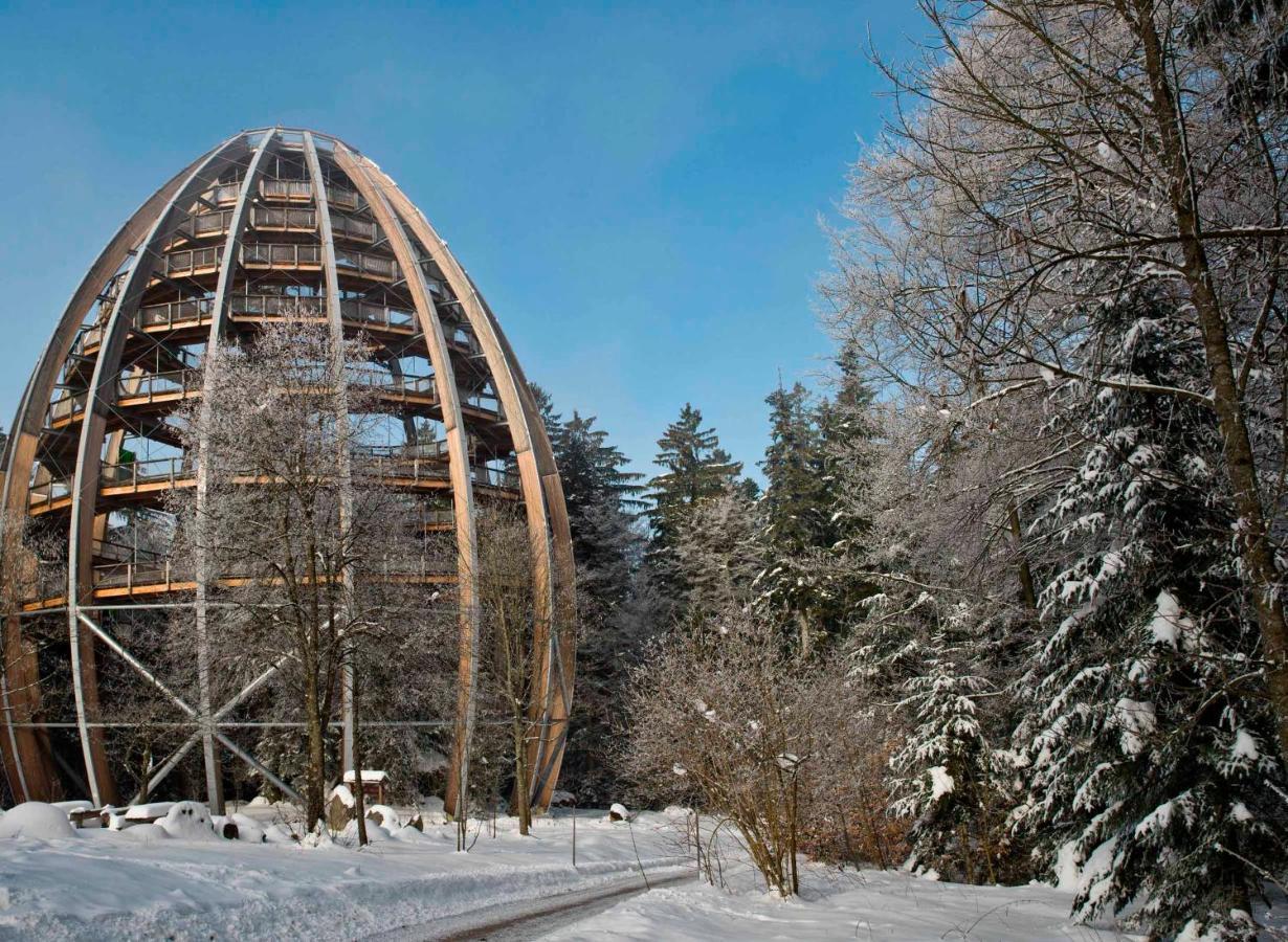 Ferienwohnung Im Landhaus Am Nationalpark Ludwigsthal Bagian luar foto