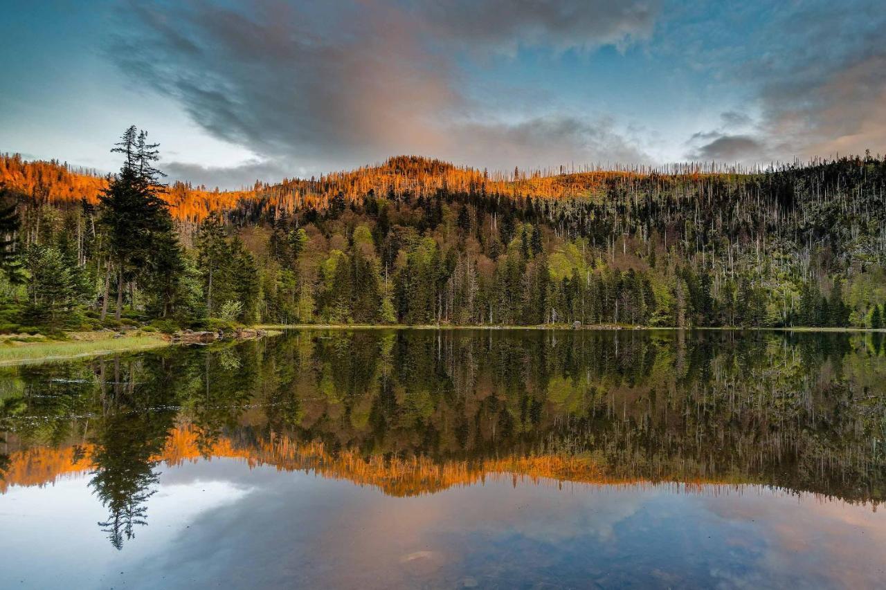 Ferienwohnung Im Landhaus Am Nationalpark Ludwigsthal Bagian luar foto