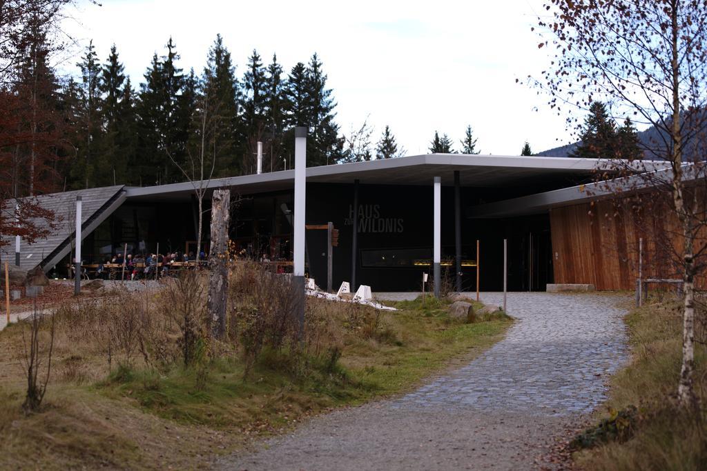 Ferienwohnung Im Landhaus Am Nationalpark Ludwigsthal Bagian luar foto
