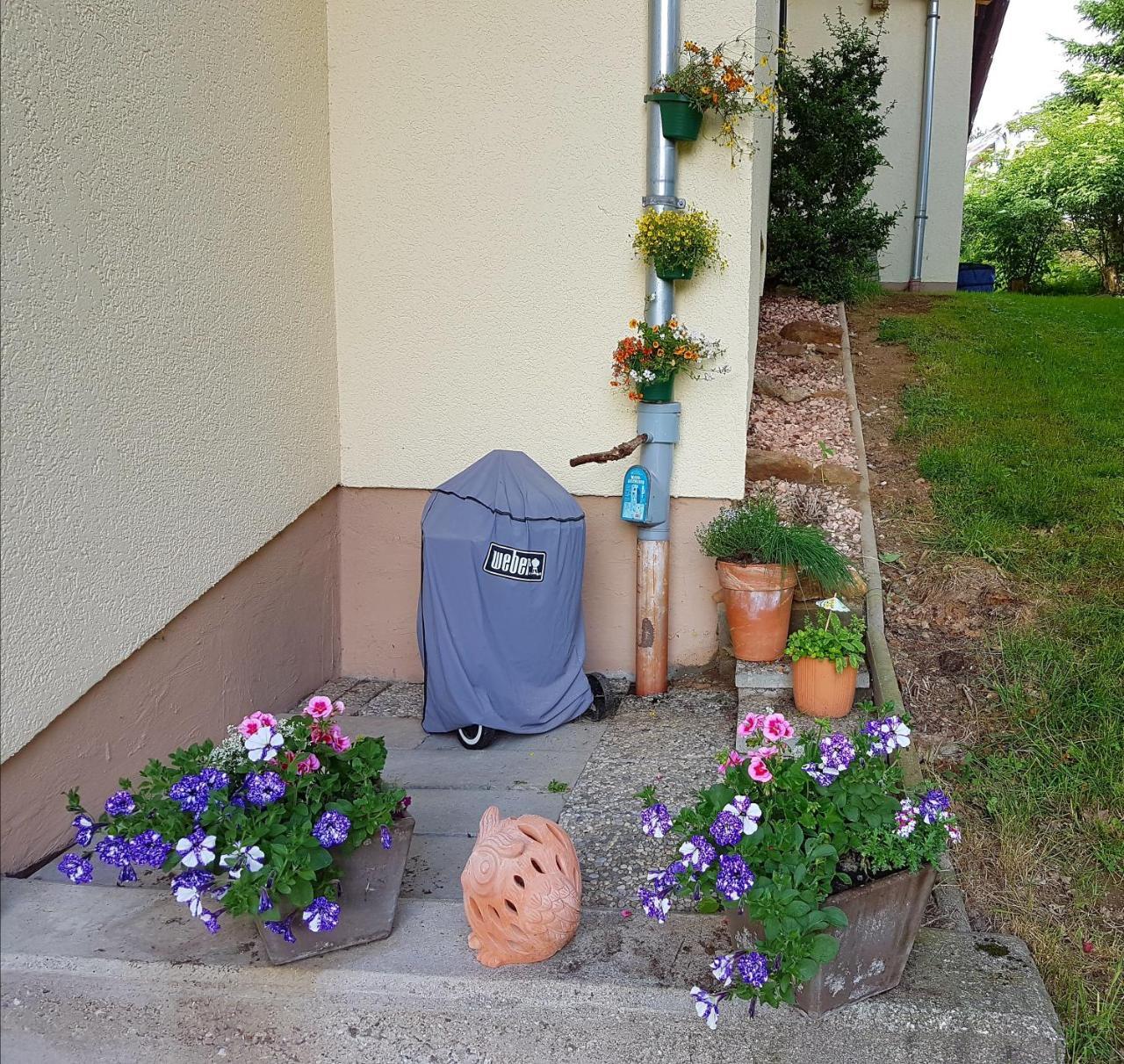Ferienwohnung Im Landhaus Am Nationalpark Ludwigsthal Bagian luar foto