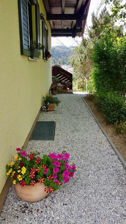 Ferienwohnung Im Landhaus Am Nationalpark Ludwigsthal Bagian luar foto